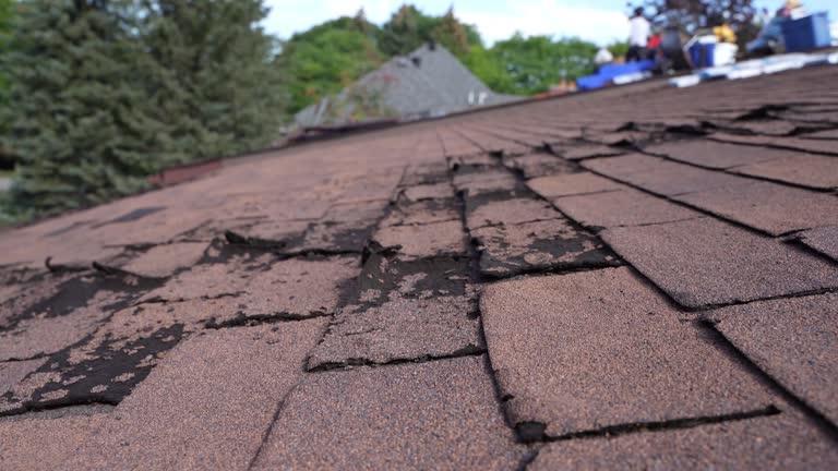 4 Ply Roofing in Rutledge, TN