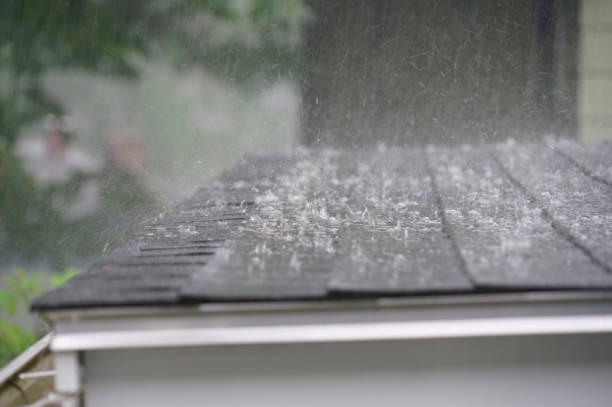 Reliable Rutledge, TN Roofing Service Solutions